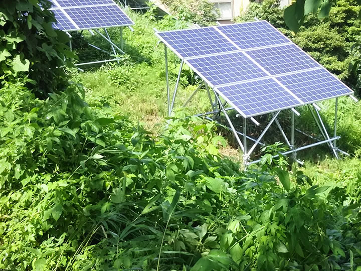 太陽光発電の雑草
